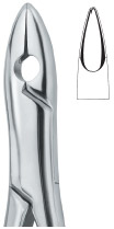 Tooth Ext Forceps Amr