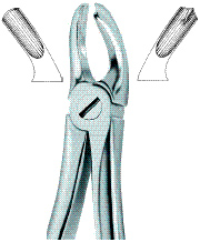 Tooth Ext Forceps