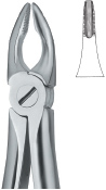 Tooth Ext Forceps