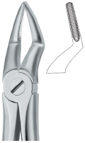 Tooth Ext Forceps