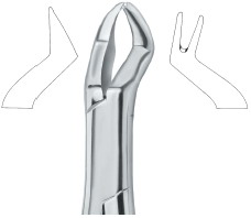 Tooth Ext Forceps Amr