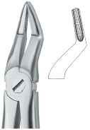 Tooth Ext Forceps