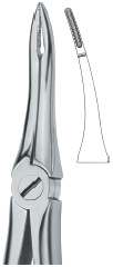 Tooth Ext Forceps