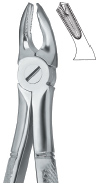 Tooth Ext Forceps